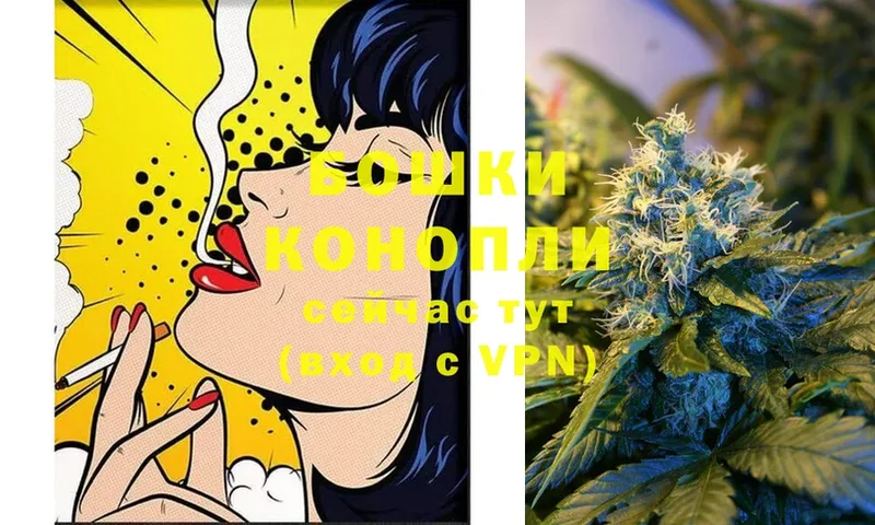 Бошки марихуана White Widow  ссылка на мегу рабочий сайт  Егорьевск 